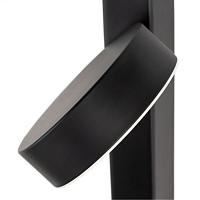 Дополнительная картинка Светильник настенный Arte Lamp MIRACH A2142AP-10BK