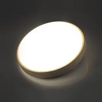 7607/CLN Sonex Светильник LOSTA