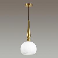Дополнительная картинка Подвесной светильник Odeon Light Pendant Runga 4767/1