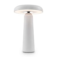Аккумуляторный светильник Freya FR6109TL-L4W