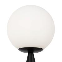 Дополнительная картинка Настольный светильник Freya FR5289TL-01B