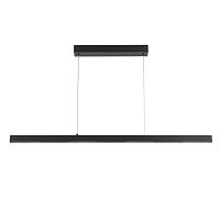 Дополнительная картинка Светильник подвесной Arte Lamp LAO A2190SP-1BK