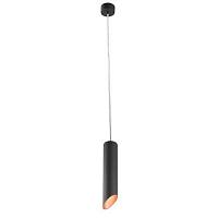 Дополнительная картинка Подвесной светильник Arte Lamp Pilon-Gold A1536SP-1BK