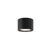 Дополнительная картинка Потолочный светильник Technical C090CL-10W3K-B