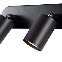 Потолочный светильник Arte Lamp AQUARIUS A3226PL-3BK