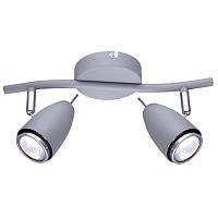 Дополнительная картинка Настенно-потолочный светильник Arte Lamp Regista A1966AP-2GY