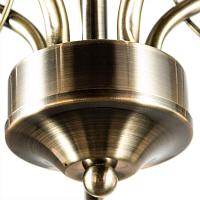Дополнительная картинка Потолочная люстра Arte Lamp Blossom A2709PL-5AB