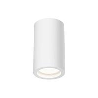 Дополнительная картинка Потолочный светильник Technical C003CW-01W-1