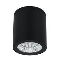 Дополнительная картинка Уличный потолочный светильник Arte Lamp TORCULAR A1313PF-1BK