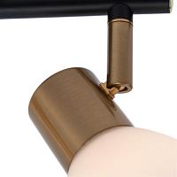 Дополнительная картинка Настенно-потолочный светильник Arte Lamp Falena A3117PL-2BK
