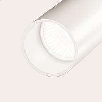 Дополнительная картинка Потолочный светильник Maytoni Elti C021CL-02W
