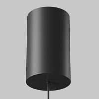 Дополнительная картинка Подвесной светильник Technical P102PL-12W4K-B