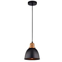 Дополнительная картинка Подвесной светильник Arte Lamp Eurica A4245SP-1BK