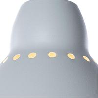 Дополнительная картинка Подвесной светильник Arte Lamp Braccio A2054SP-1WH