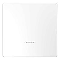 Клавиша одинарная Schneider Electric Merten D-Life MTN3320-6035 
