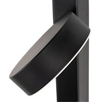 Светильник настенный Arte Lamp MIRACH A2142AP-10BK
