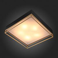 Дополнительная картинка Потолочный светильник ST Luce Chodo SL1127.422.05
