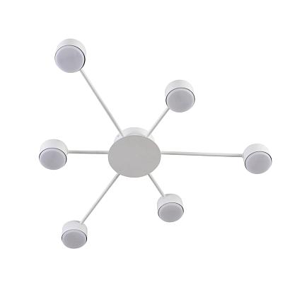 люстры 8343/6c lumion люстра torina, доставка по Казахстану 