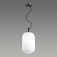 Дополнительная картинка Подвесной светильник Odeon Light Pendant Roofi 4751/1