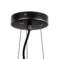 Дополнительная картинка Подвесная люстра Lightstar Globo 815057