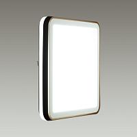 7621/DL PALE SN 047 Светильник пластик/белый/черный/медный LED 48Вт c ДУ 3000-4200-6300К 440х440 IP43 пульт ДУ EFFA