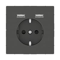 Розетка компьютерная USBx2 Schneider Electric Merten D-Life MTN2366-6034 