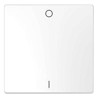 Клавиша одинарная Schneider Electric Merten D-Life MTN3301-6035 