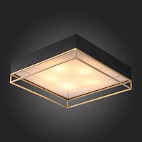Дополнительная картинка Потолочный светильник ST Luce Chodo SL1127.422.05