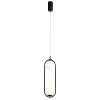 Дополнительная картинка Подвесной светодиодный светильник ST Luce SL395.403.02