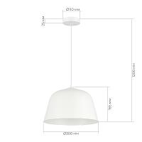 Дополнительная картинка Evoluce SLE1805-503-01 Светильник подвесной Blank