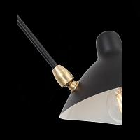 Дополнительная картинка Подвесная люстра ST Luce Spruzzo SL305.402.06