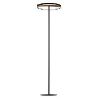 723727 Торшер LODI Lightstar купить в Алматы svet.kz