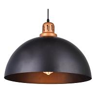 подвесной светильник arte lamp eurica a4249sp-1bk, доставка по Казахстану 