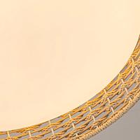 Дополнительная картинка Потолочный светильник Conrad F-Promo 4749-4C