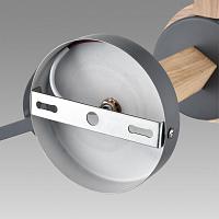 Дополнительная картинка 8096/6C Lumion Люстра потолочная COLANGE