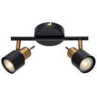 Дополнительная картинка Спот Arte Lamp Almach A1906PL-2BK