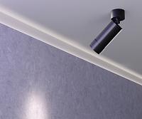 Дополнительная картинка Потолочный светильник Technical C055CL-L12W3K-Z-B