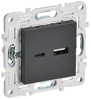 SKANDY Роз. USB A+C 3,1А SK-R14T титан IEK 