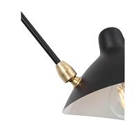 Дополнительная картинка Подвесная люстра ST Luce Spruzzo SL305.402.06