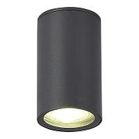 Дополнительная картинка SL9010.712.01 Светильник уличный потолочный ST-Luce TUBO