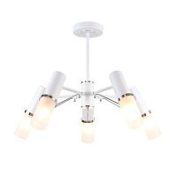 Дополнительная картинка Потолочная люстра F-Promo Viator 2559-5P