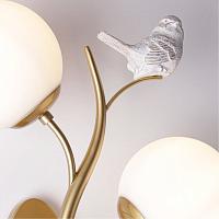 Дополнительная картинка Настенный светильник CAMOMILLA Arte Lamp A9712AP-2SG