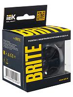 BRITE Роз. с з/к/ш 16А с USB A+A 3,1А РЮш10-2-БрГ граф. IEK 