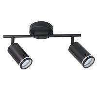 Дополнительная картинка Потолочный светильник Arte Lamp IMAI A2365PL-2BK