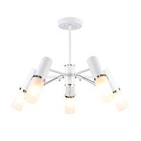Дополнительная картинка Потолочная люстра F-Promo Viator 2559-5P