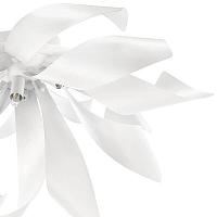 Дополнительная картинка Потолочная люстра Lightstar Turbio 754166