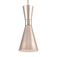 Дополнительная картинка Подвесной светильник F-Promo Sheen 2759-1P