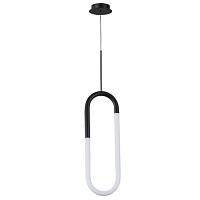 Дополнительная картинка Подвесной светильник Arte Lamp LUMINO A2233SP-20BK