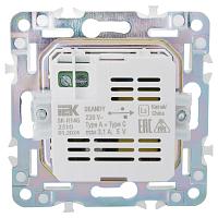 SKANDY Роз. USB A+C 3,1А SK-R14G граф. IEK 