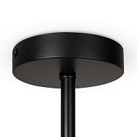 Дополнительная картинка Потолочный светильник Freya FR5376CL-06B